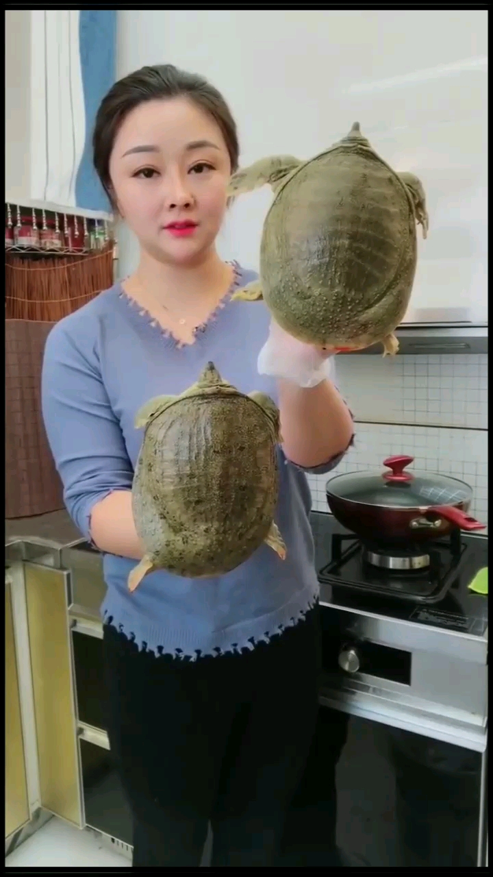 不要再错了!最正宗的红烧甲鱼应该这么烧!