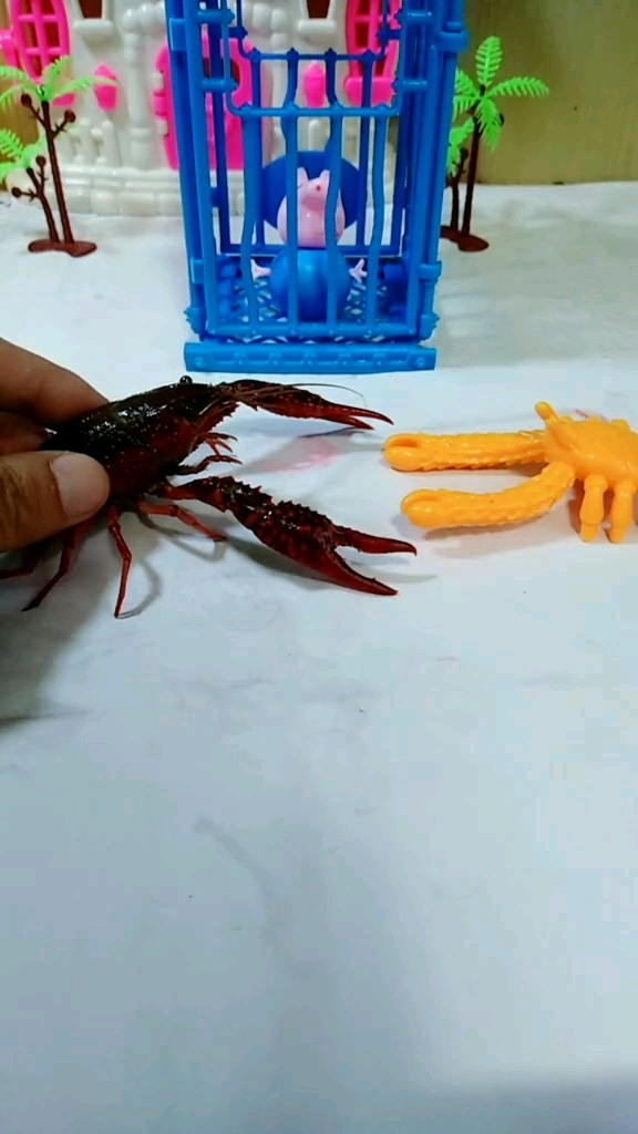 大龙虾下