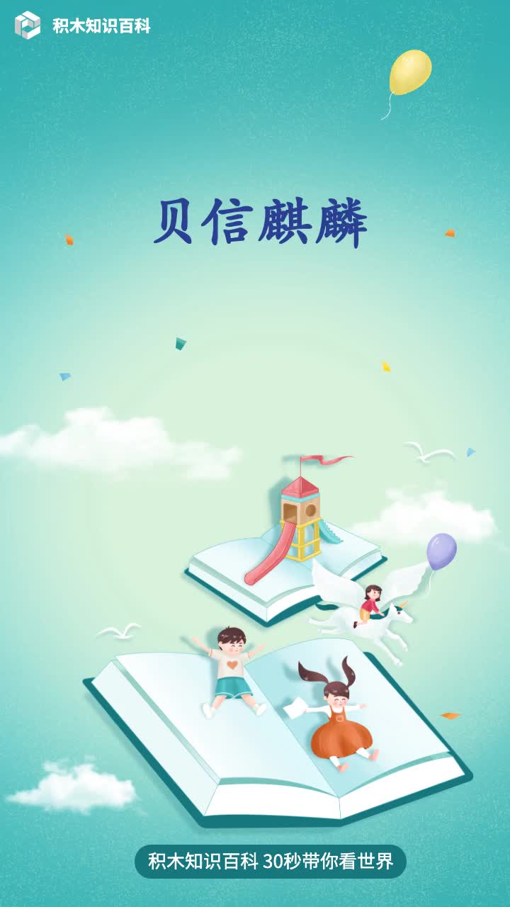 贝信麒麟