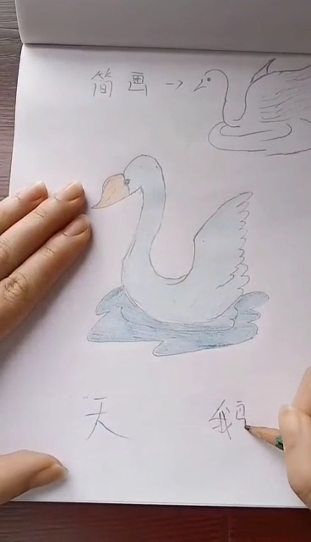 #创意简笔画#天鹅湖简笔画喜欢吗