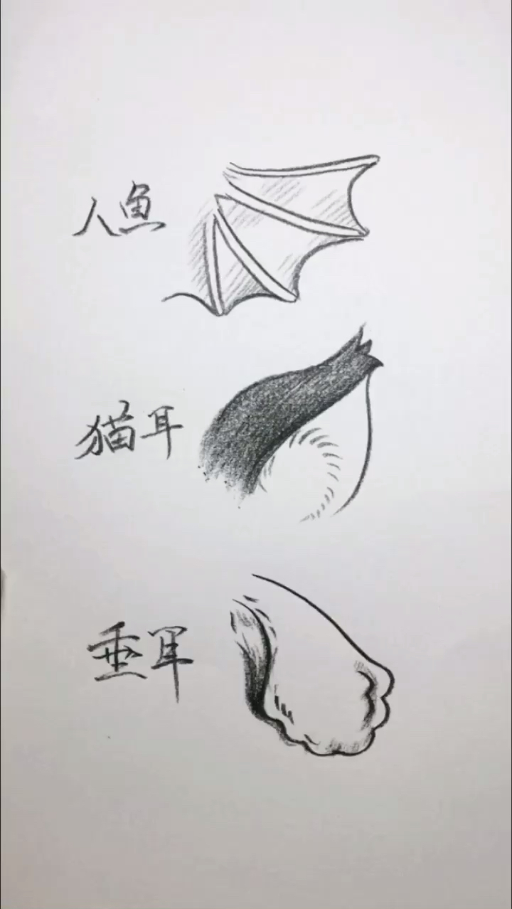 #我要上热门#简笔画耳朵你喜欢哪一种