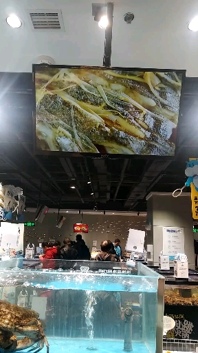 多宝鱼(比目鱼)清蒸制作教学
