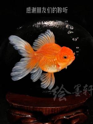 更要感谢你的爱心和鼓励#手艺人  #石头画 #绘画教程
