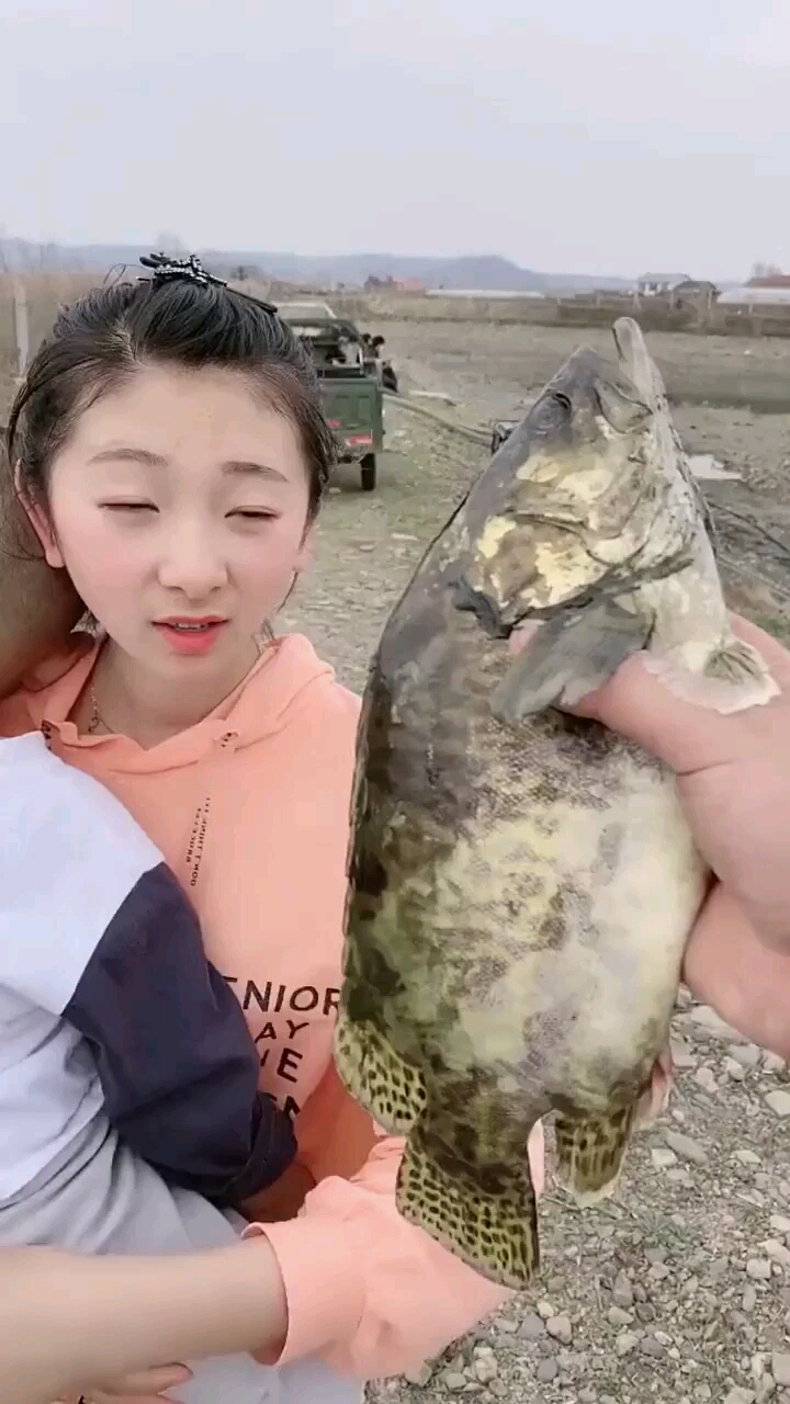 在稻田里干活抓到的一条鱼大家知道叫什么名字吗