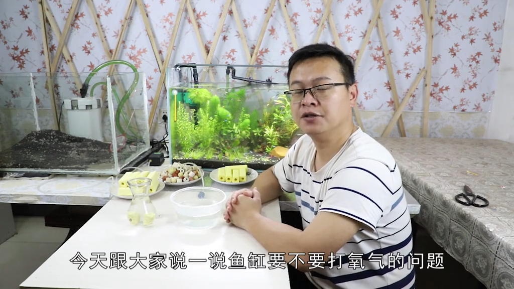 小型鱼缸需要一直打氧吗