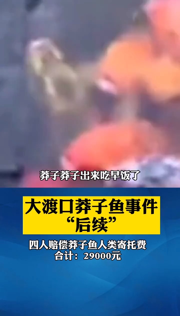 大渡口“莽子鱼”后续