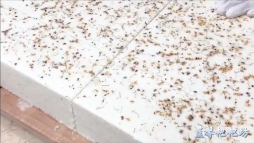 网红粑粑坊绵绵糕 糯米蛋糕 培训