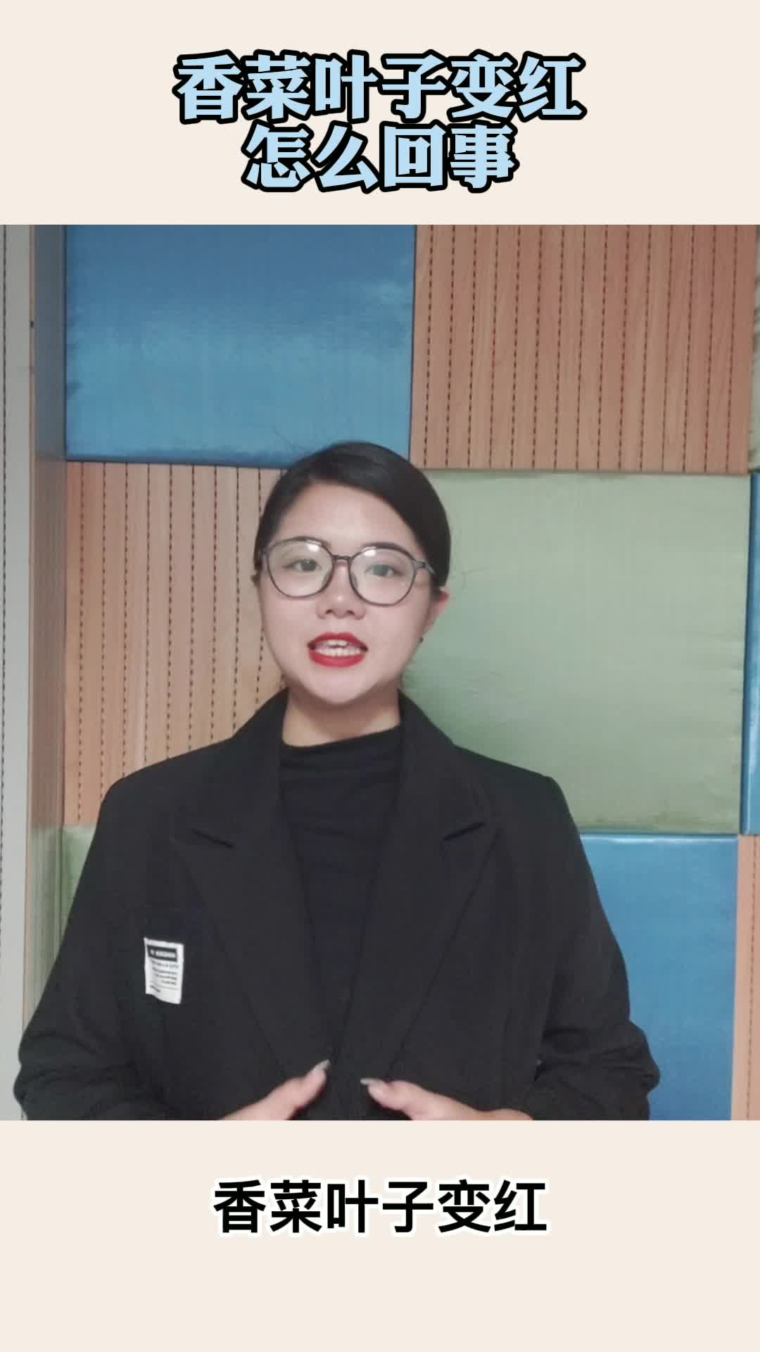 香菜叶子变红怎么回事,你明白了吗