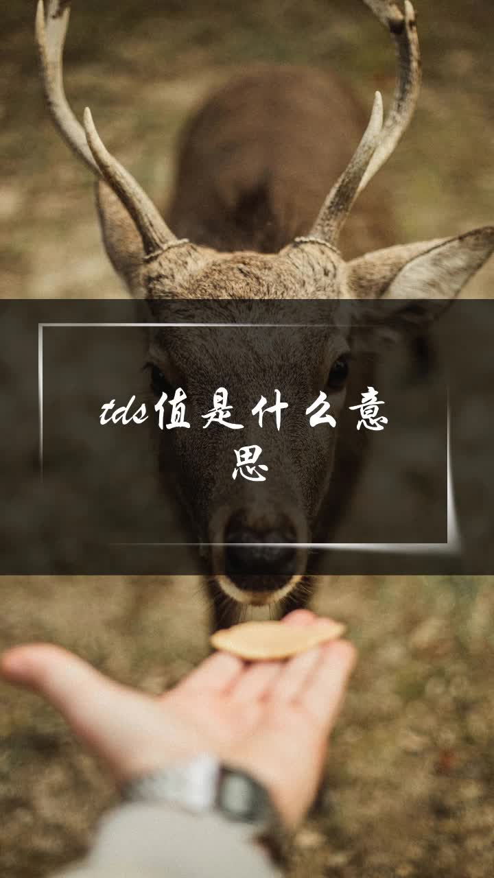 tds值是什么意思