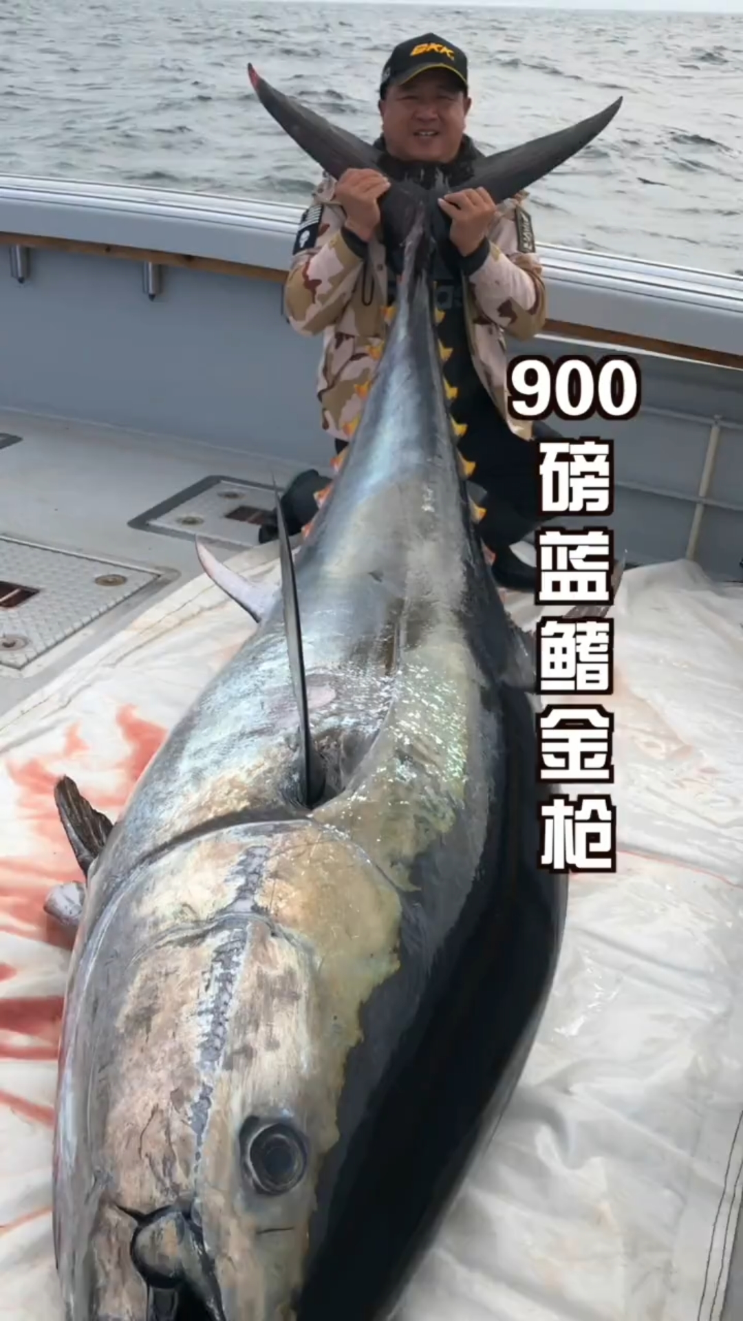 不看不知道,一看吓一跳