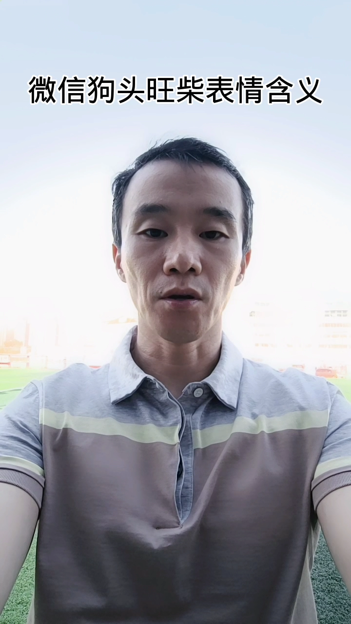 微信狗头旺柴表情含义。