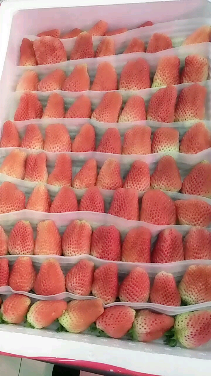 分享视频