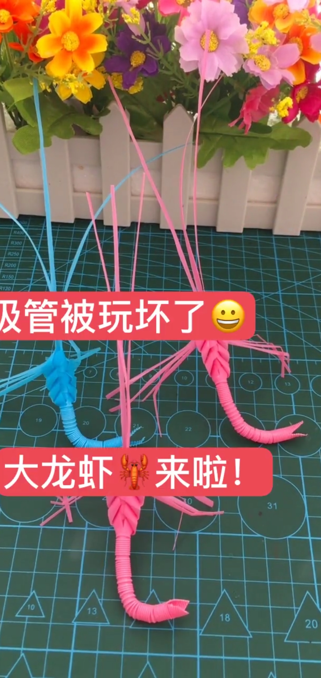 不能吃的龙虾