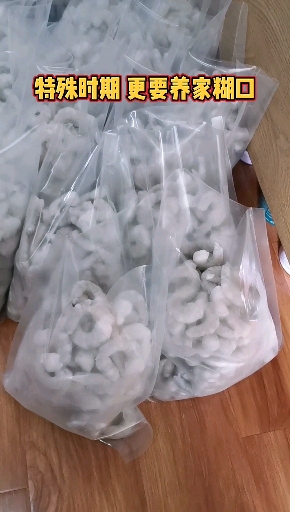 任何时期都不能不努力赚钱 不然咋个养猫噻