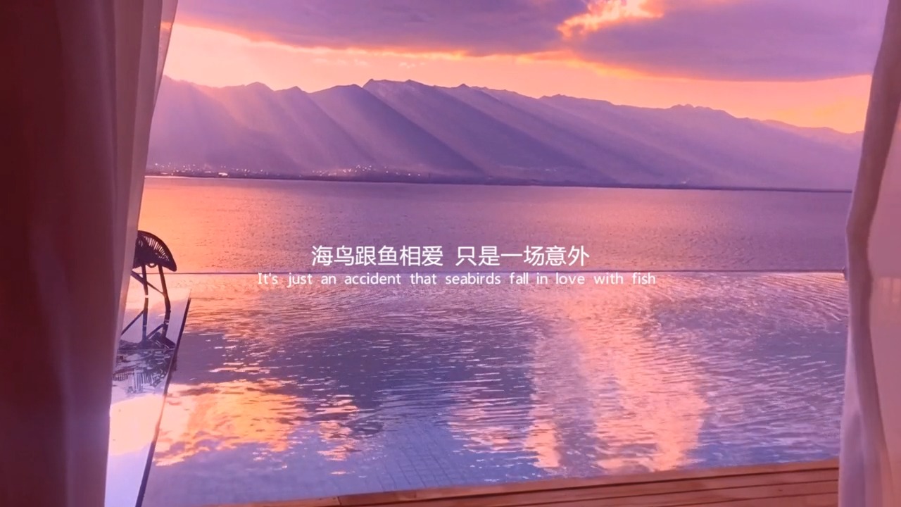 #文案#海鸟鲸鱼相爱,只是一场意外