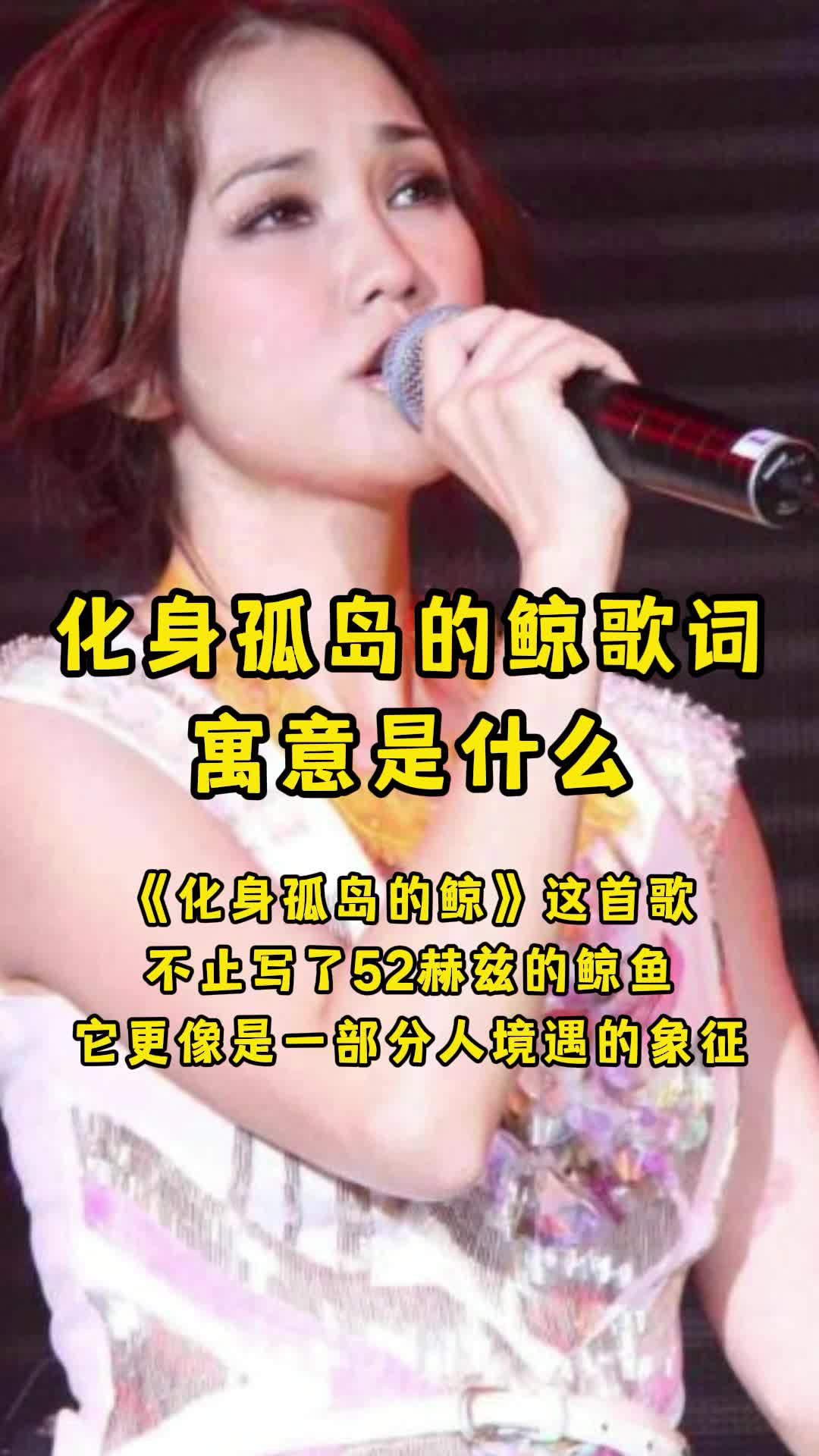 化身孤岛的鲸歌词寓意是什么,你知道了吗