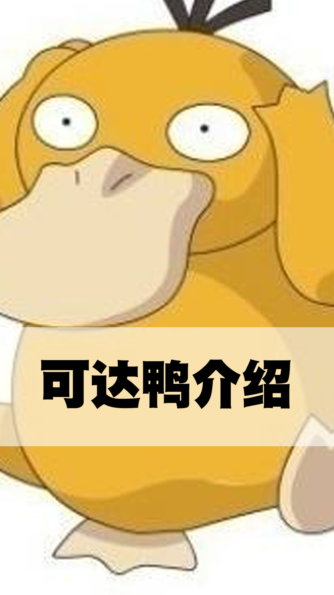 可达鸭介绍