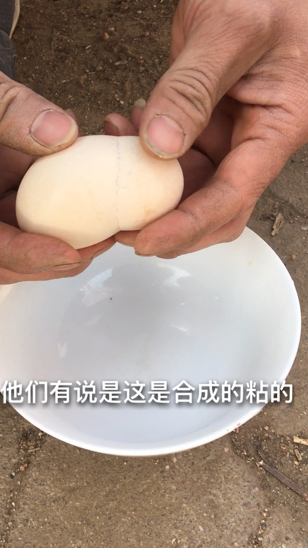 两个胎盘的鸡蛋