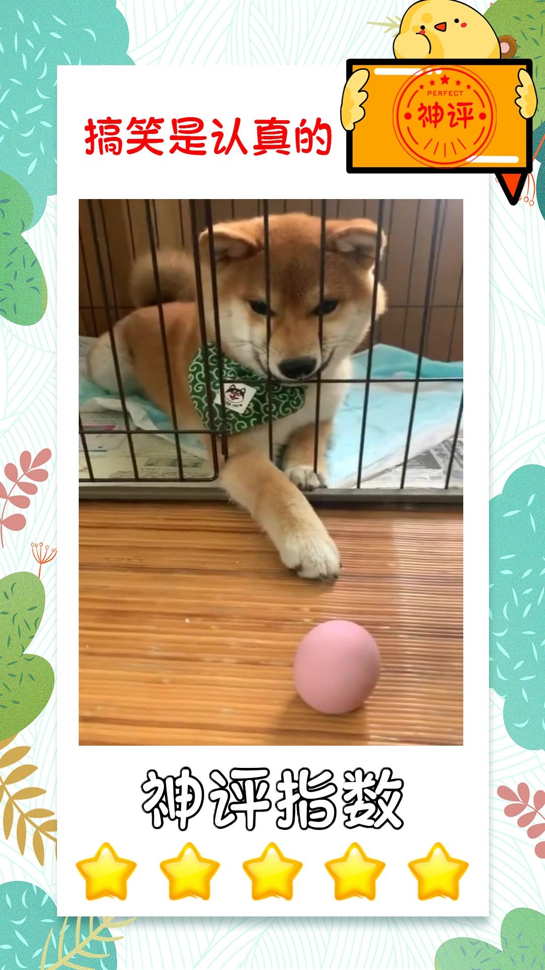#搞笑#秋田犬太可爱了面对近在眼前的鸡蛋这表情笑死我了