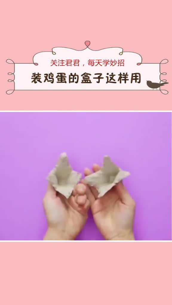 装鸡蛋的盒子这样用