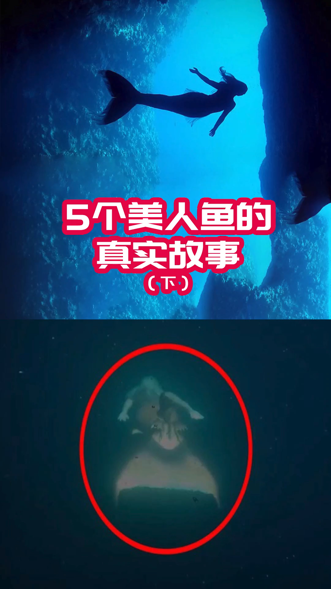 5个美人鱼的真实故事(下),这个视频花了整整三天才做完的,感谢大家点赞支持哦!