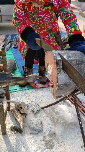 东北八大怪之一,冻鱼架锯拽