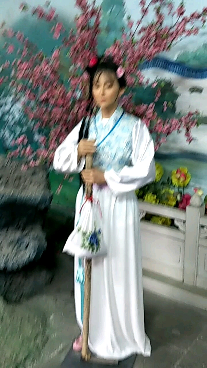 贾宝玉林黛玉
