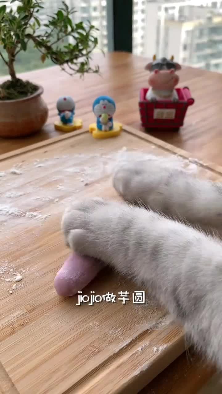 猫王:奶茶火锅还能涮什么