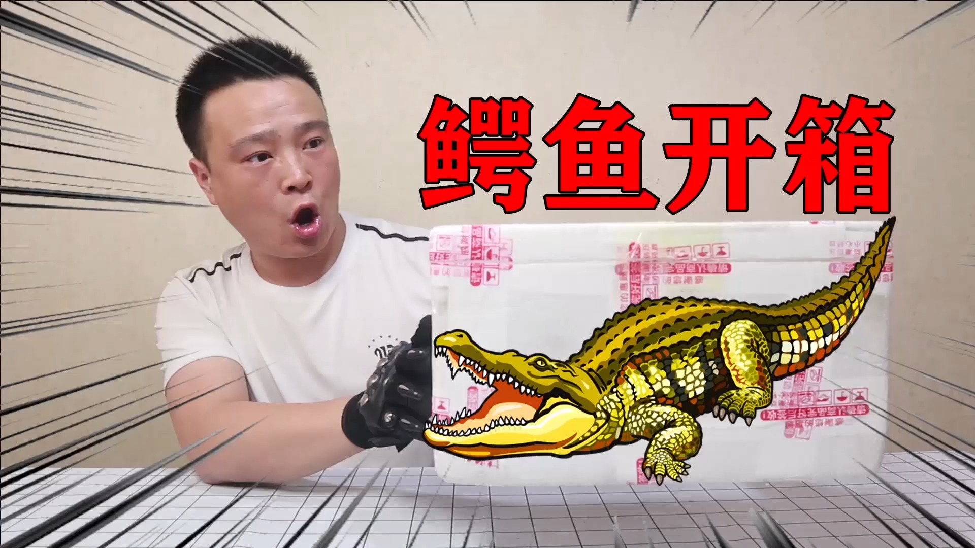 小浪哥花350块钱开箱“鳄鱼宠物”这小家伙可真凶猛!