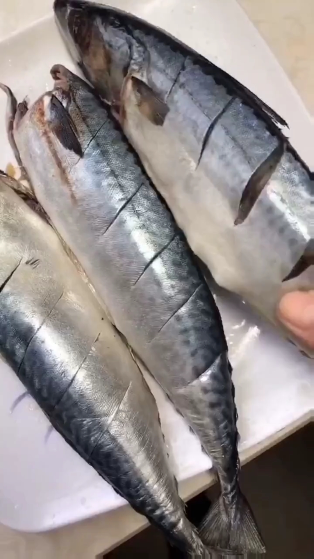 炖鲅鱼