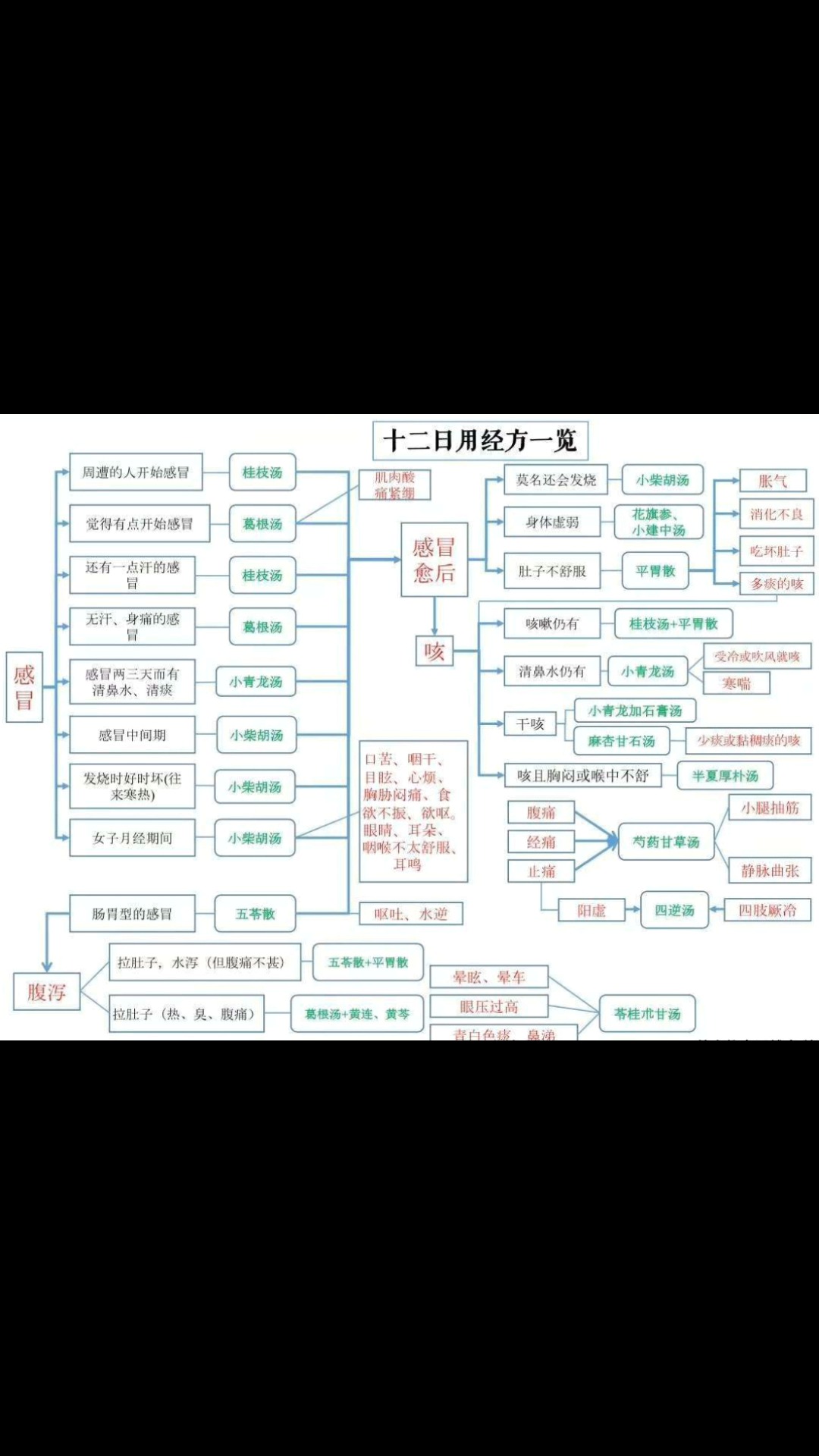 倪海厦弟子 林大栋 十二经方日用 急急如律令 培训班视频 感冒咳嗽腹泻