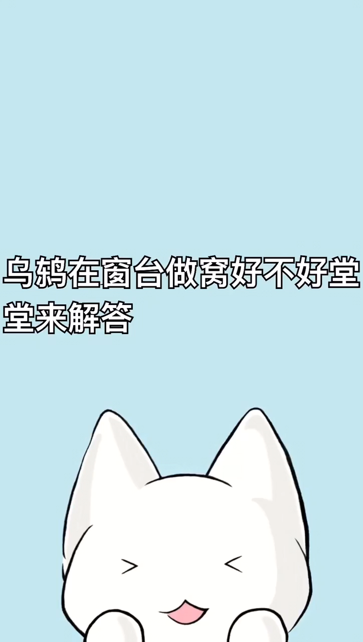 乌鸫在窗台做窝好不好