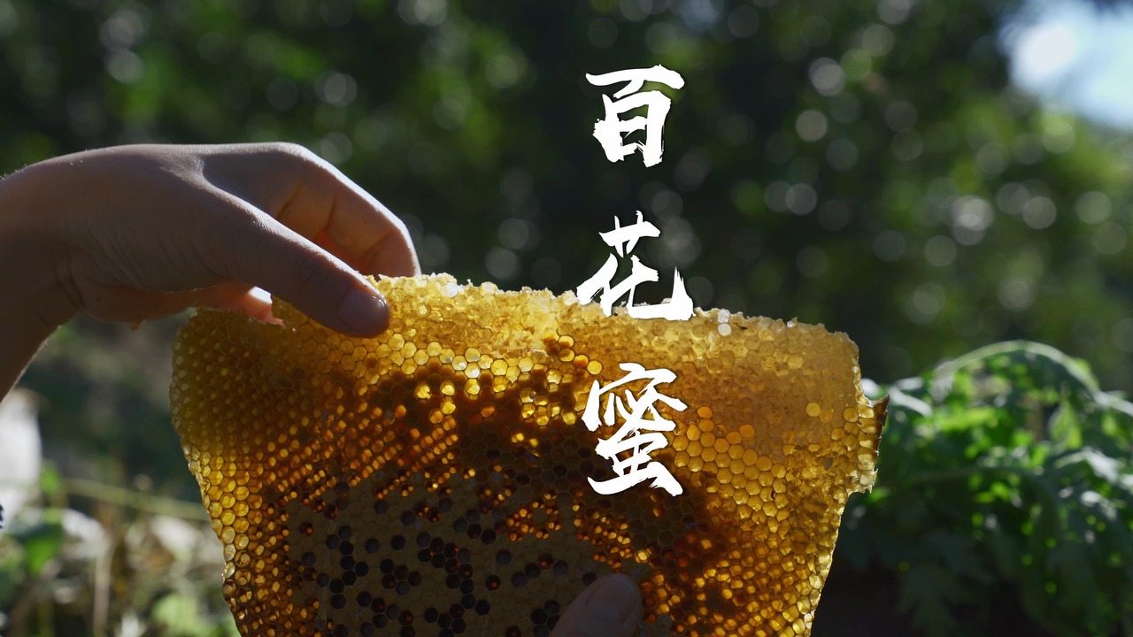 #美食#刚切下的蜂巢直接掰着吃，晶莹剔透宛如“液体宝石”