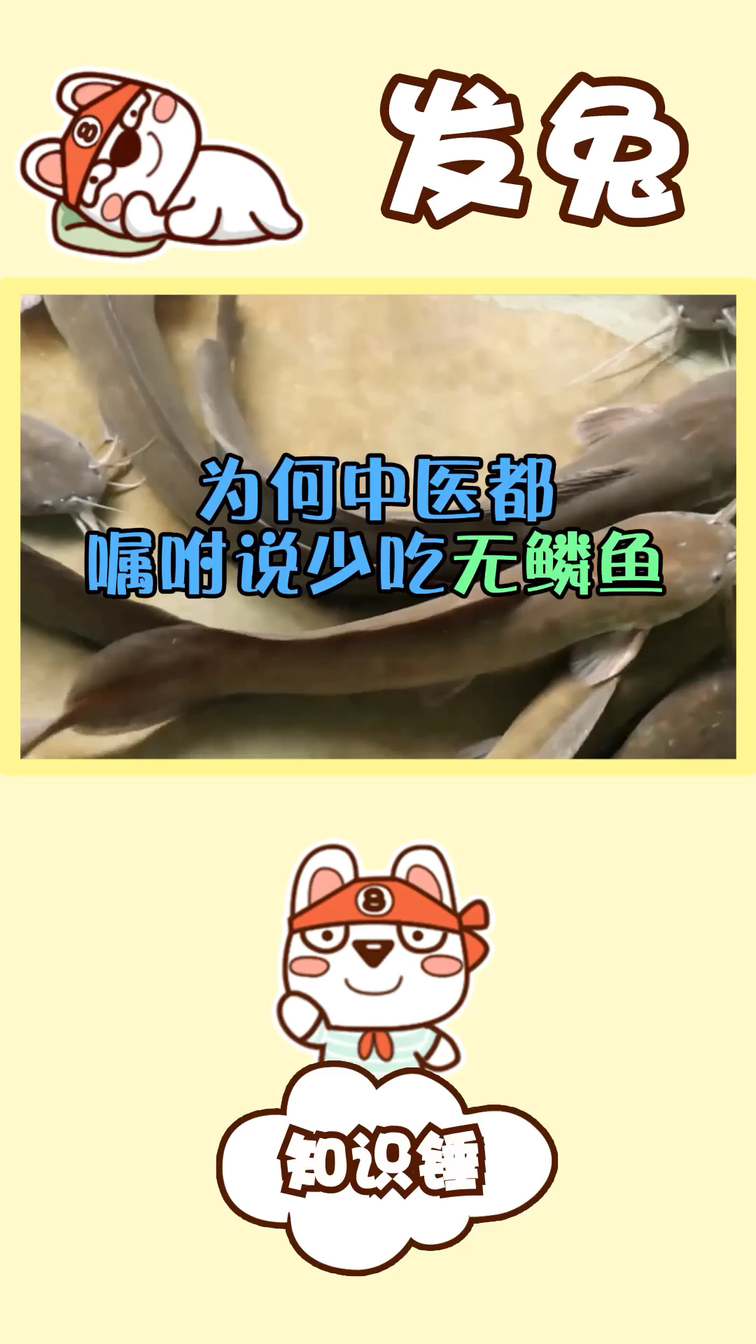 为什么中医都嘱咐少吃无鳞鱼?