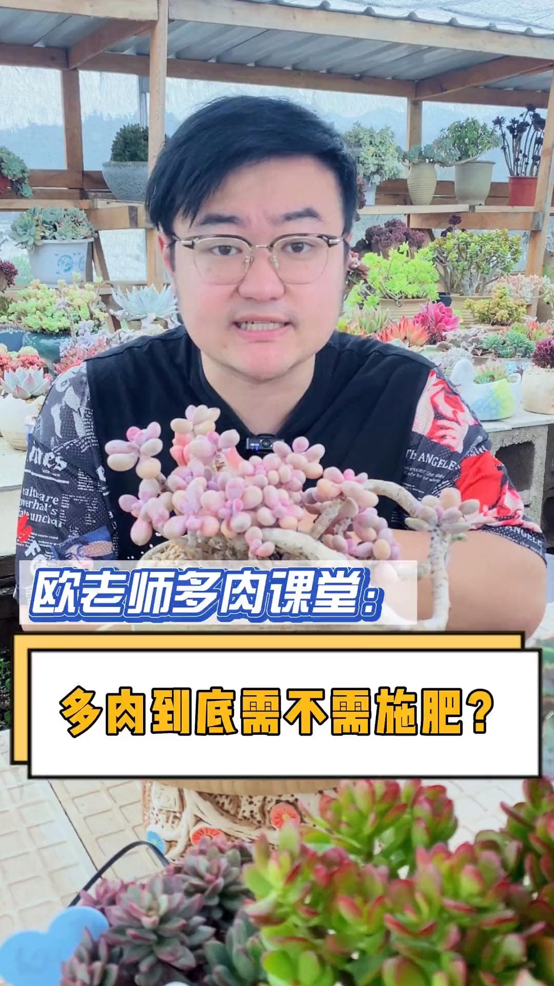 #有一种可爱叫多肉!#多肉植物到底需不需要施肥呢?肯定是要的。这个视频告诉你原因#多肉#多