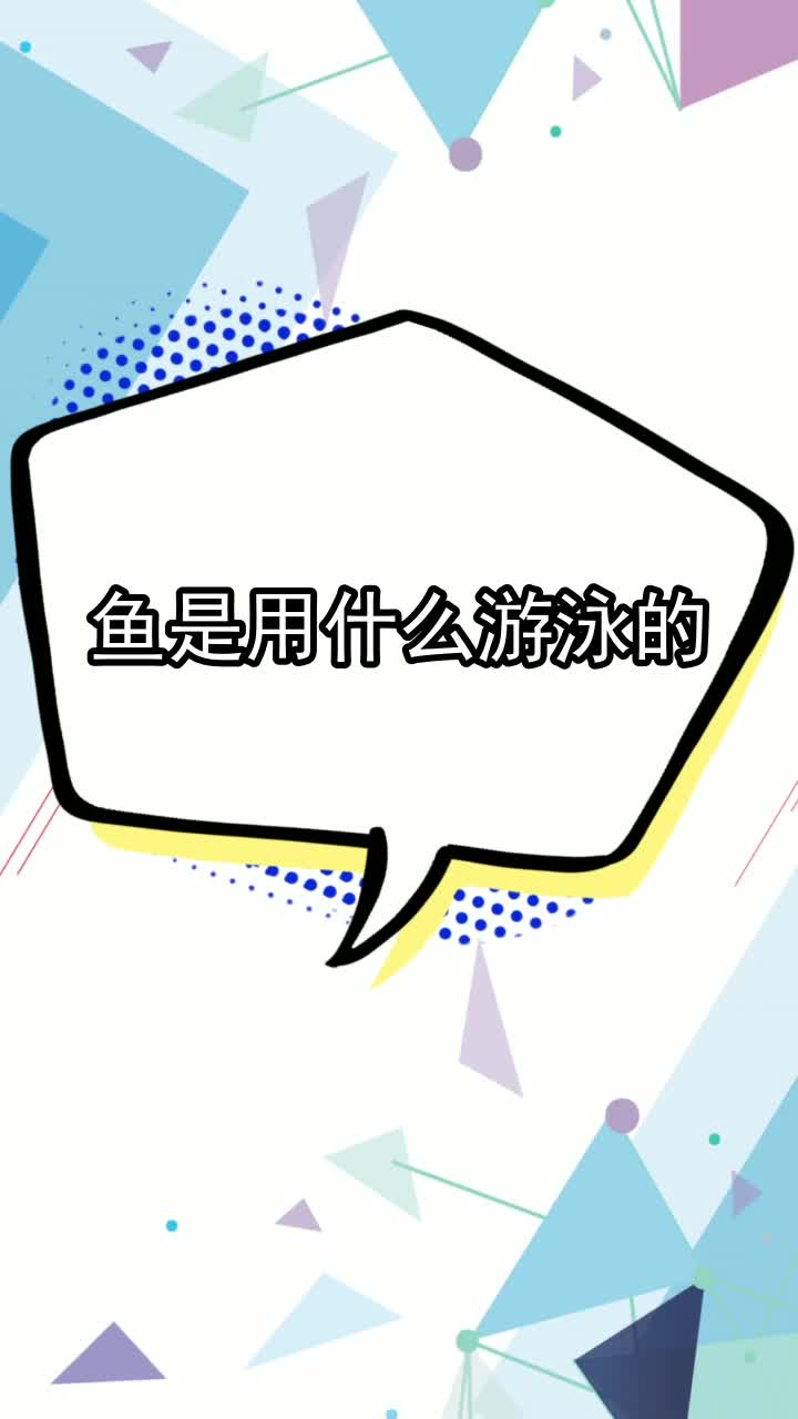 鱼是用什么游泳的,你学会了吗