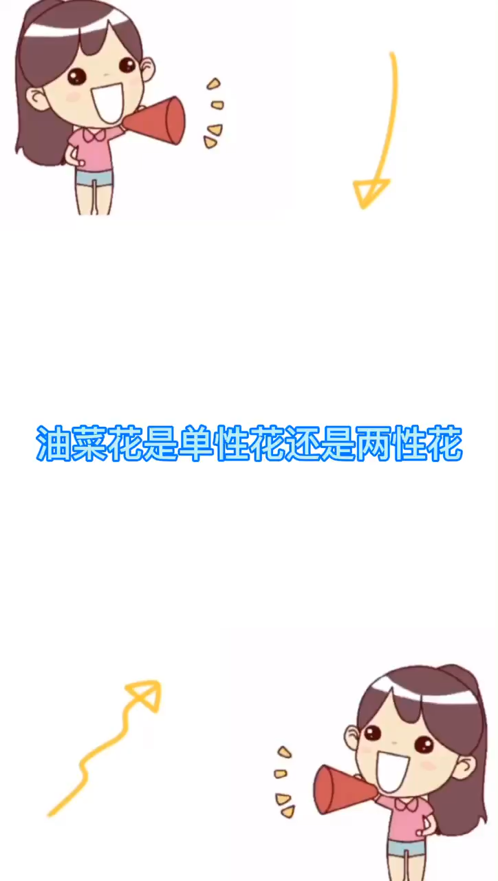 油菜花是单性花还是两性花