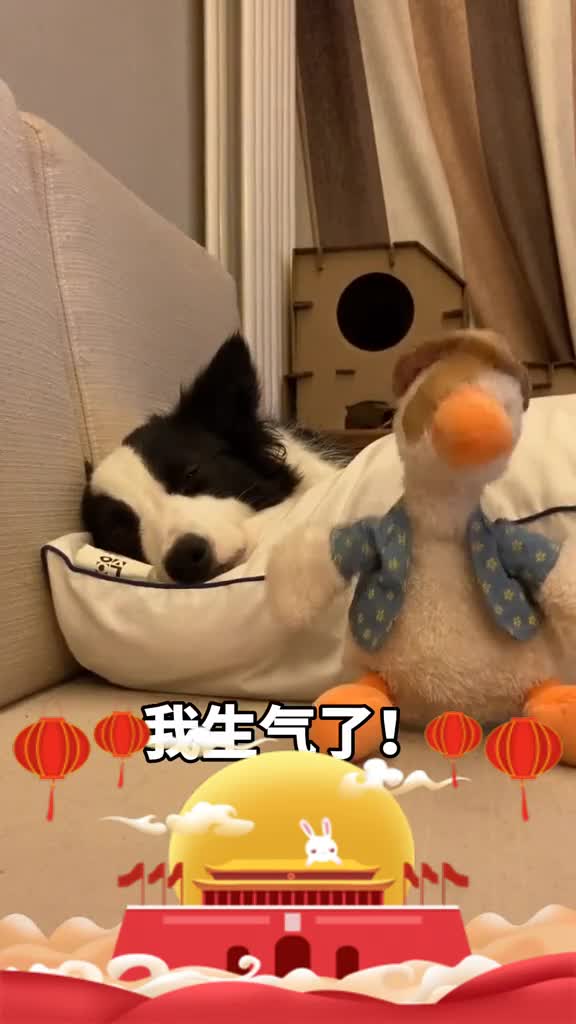 孟菜鸭你也有今天!月-抖美好生活节快来参与
