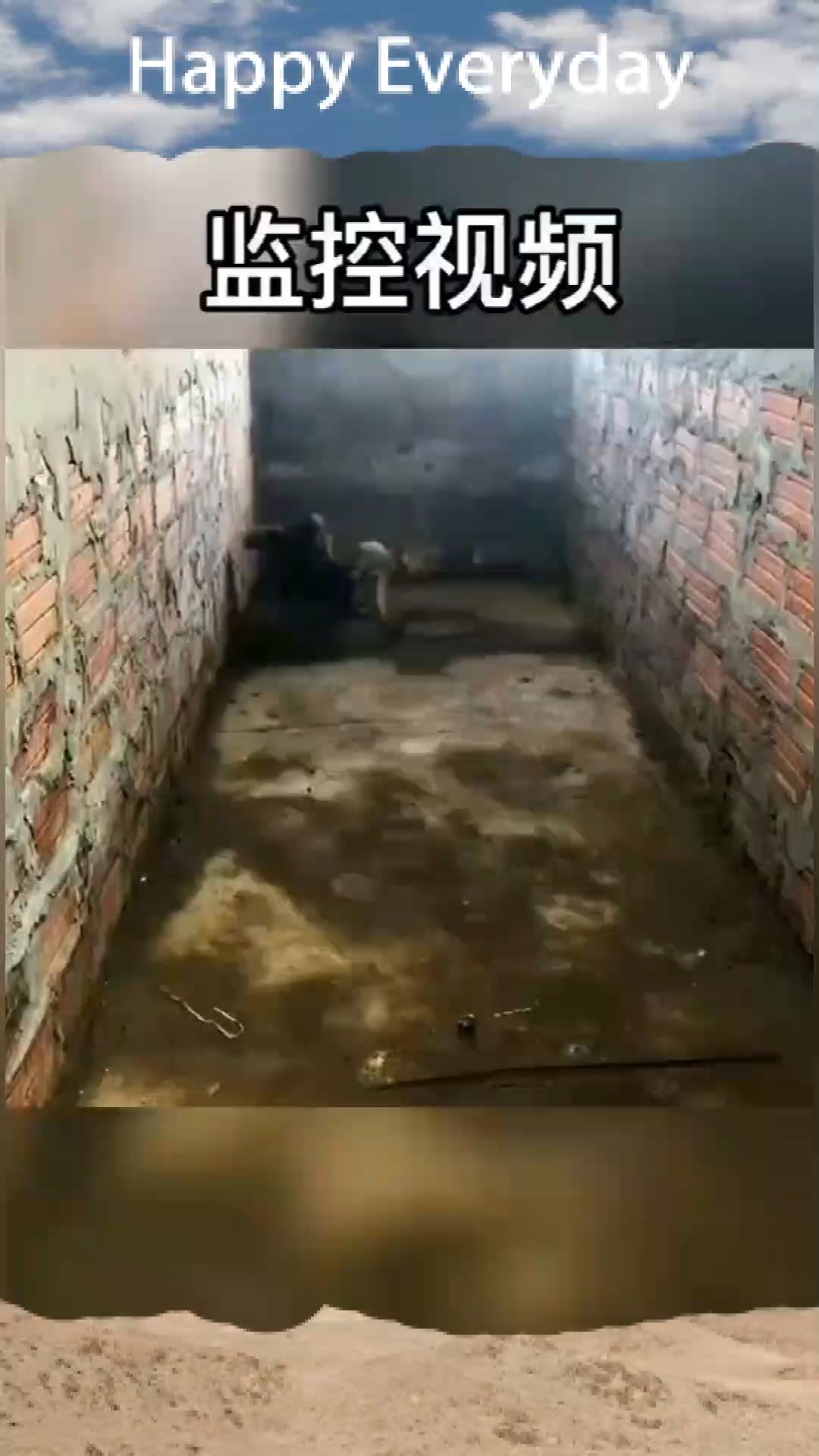母鸡护雏或许出于本能但这是母亲的天性,是伟大母爱