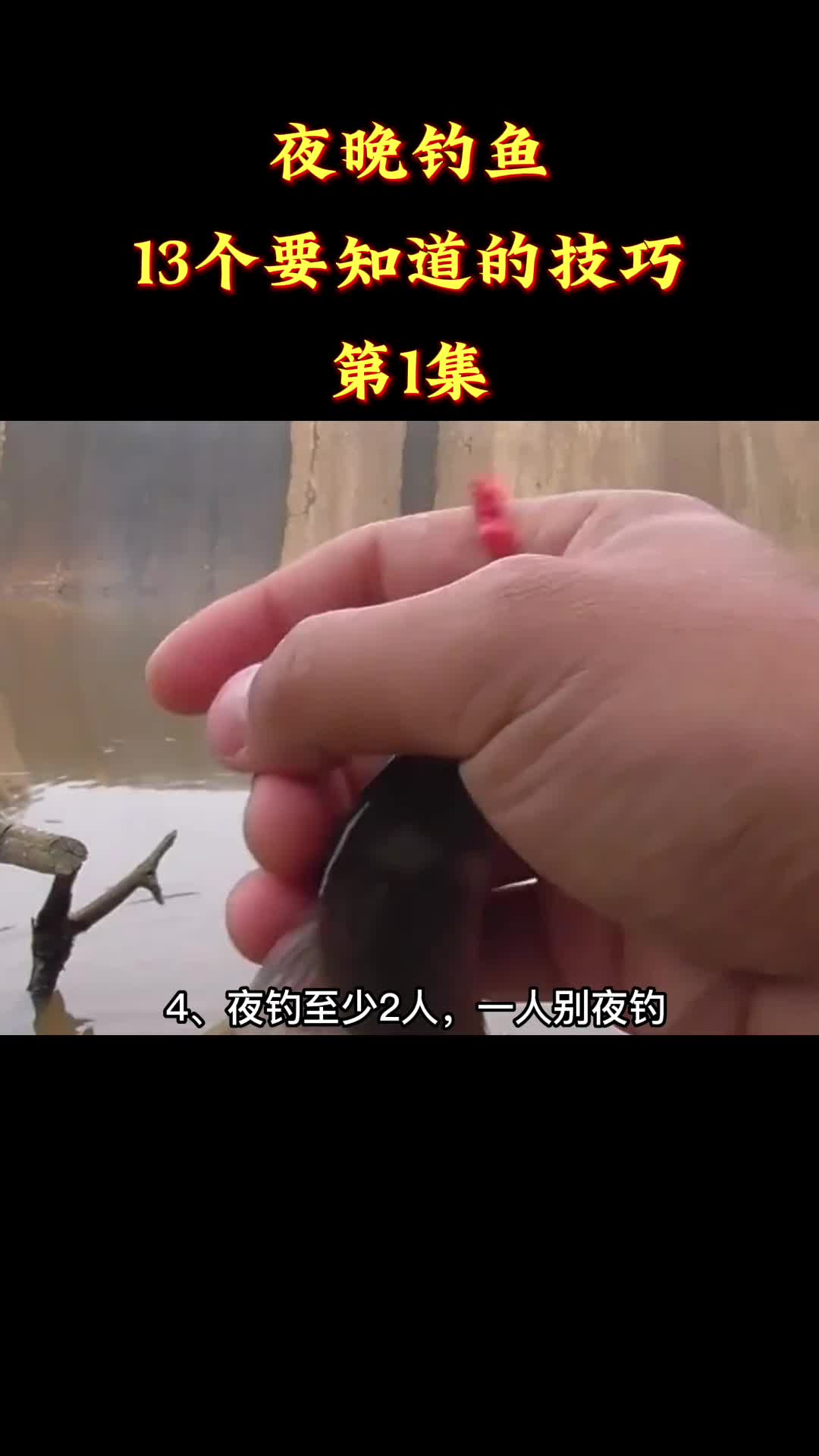夜晚钓鱼,13个要知道的技巧,第一集