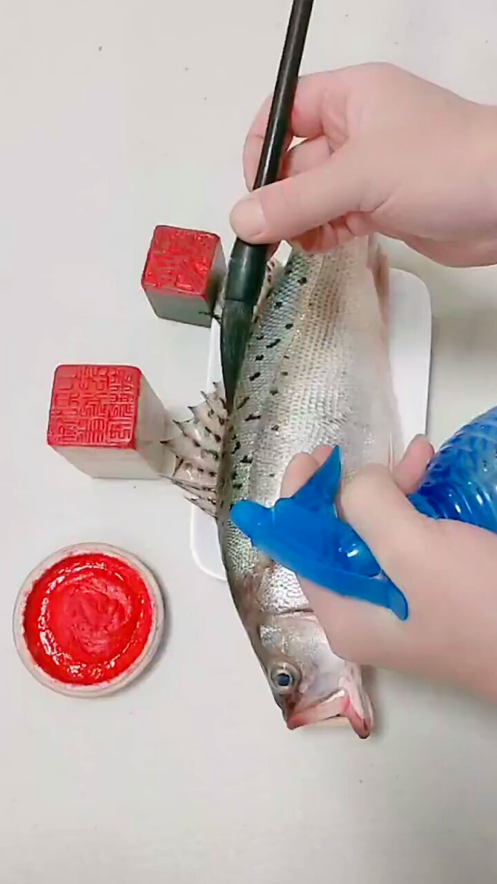 #我要上热门#朱砂鲈鱼怎么画呢