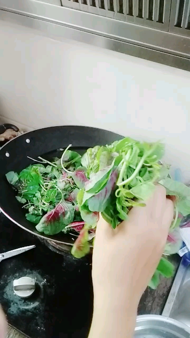 苋菜补铁补钙明目,做个苋菜炒木耳 