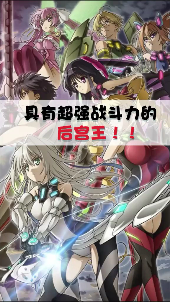 具有超强战斗力的后宫王