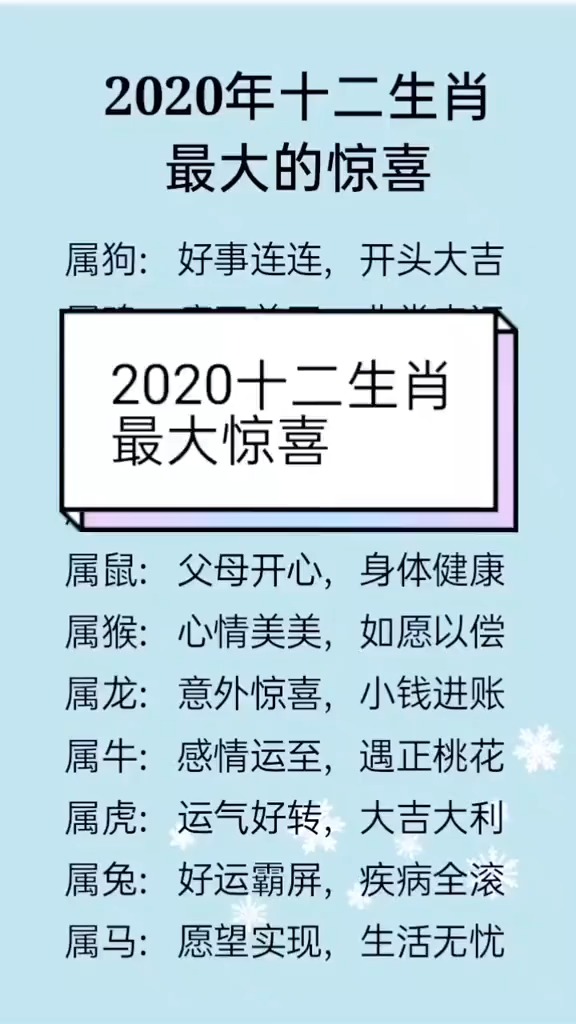 2020年12生肖最大的惊喜