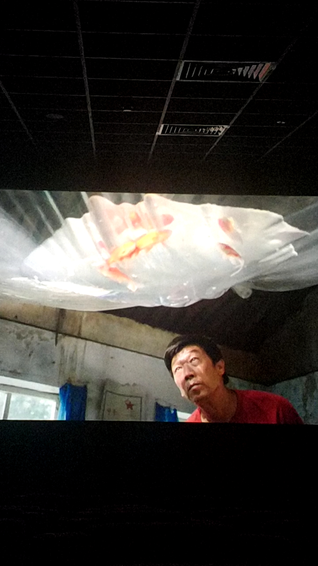 新式鱼缸