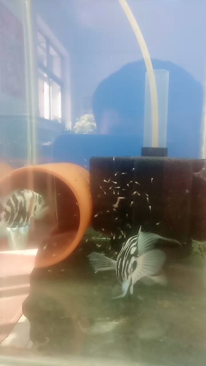 分享视频