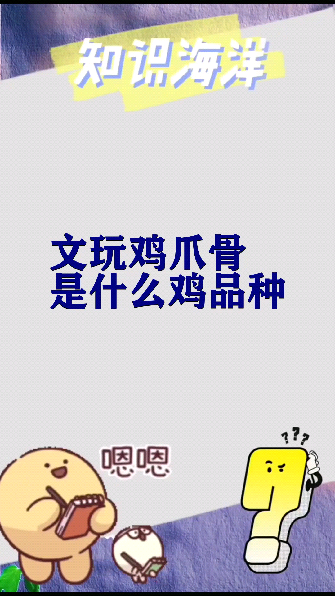 文玩鸡爪骨是什么鸡品种 