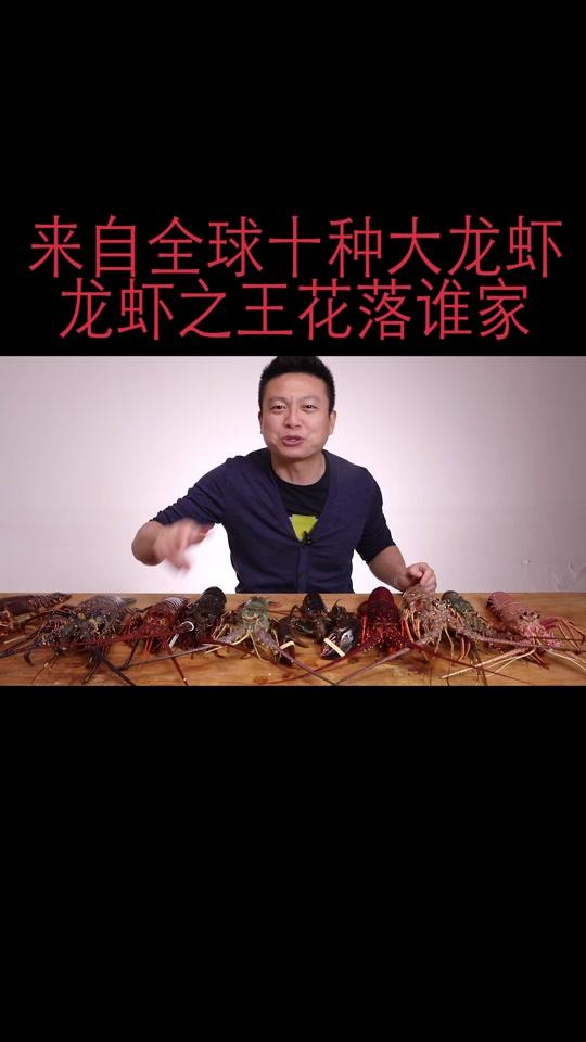 一次评测:澳龙、古巴龙,西非青,红龙,墨青,小青龙,火龙,西澳,波龙,南非龙!
