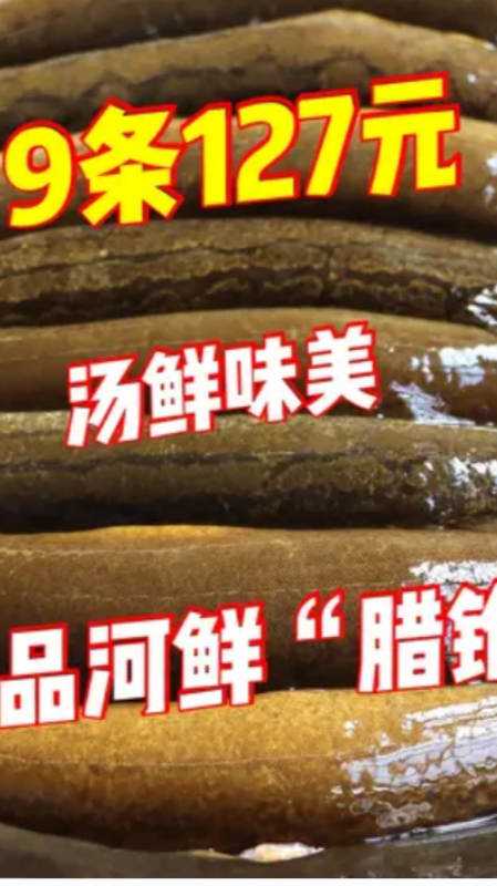 #轻知计划#极品河鲜“腊锥鱼”!85元1斤可遇不可求,汤鲜味美也太补了