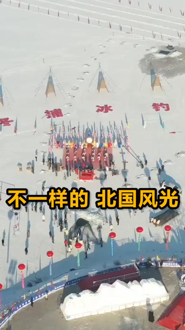 #哈尔滨#哈尔滨冬捕现最大头鱼,身高堪比半个人!